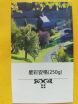 星彩安格250P