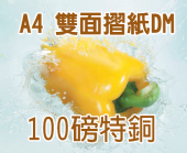 A4特銅 (100磅)彩色雙面摺紙folding DM A4特銅 (100磅)彩色雙面摺紙folding DM