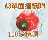 A3特銅 (100磅)彩色單面摺紙folding DM A3特銅 (100磅)彩色單面摺紙folding DM