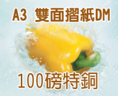 A3特銅 (100磅)彩色雙面摺紙folding DM A3特銅 (100磅)彩色雙面摺紙folding DM