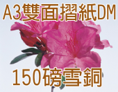 A3雪銅 (150磅)彩色雙面摺紙folding DM A3雪銅 (150磅)彩色雙面摺紙folding DM