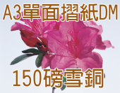A3雪銅 (150磅)彩色單面摺紙folding DM A3雪銅 (150磅)彩色單面摺紙folding DM
