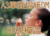 A3模造紙 (80磅)彩色單面摺紙folding DM A3模造紙 (80磅)彩色單面摺紙folding DM