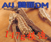 A4模造紙 (147g) 彩色雙面DM A4模造紙 (147g) 彩色雙面DM