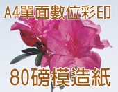 單面A4 DM 80g模造紙-彩色數位印刷 單面A4 DM 80g模造紙-彩色數位印刷