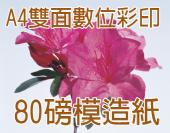 雙面A4 DM 80g模造紙-彩色數位印刷 雙面A4 DM 80g模造紙-彩色數位印刷