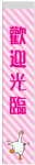 27.5CM筷套80G模造 27.5CM筷套80G模造